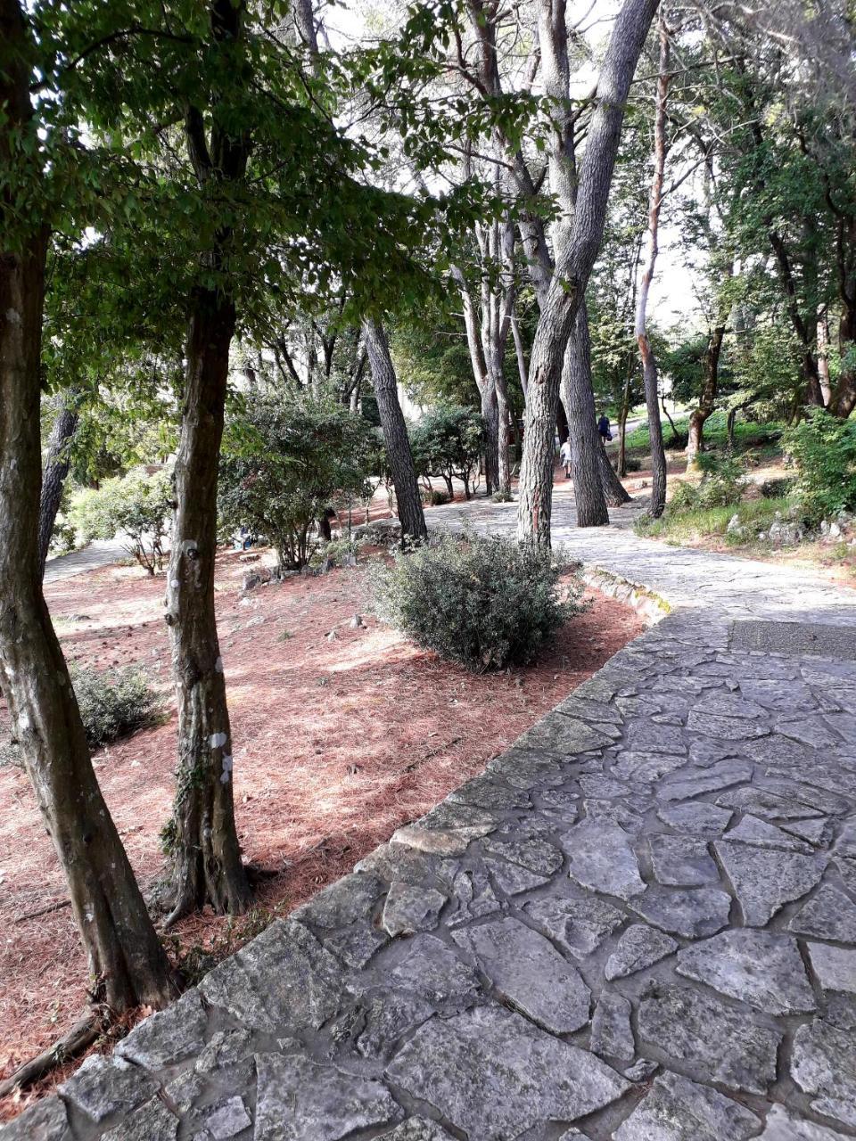 Apartments And Rooms Haludovo - Ribarsko Selo Malinska Exteriér fotografie